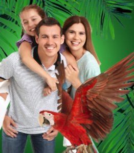 Anne ve Baba + 1 Çocuk